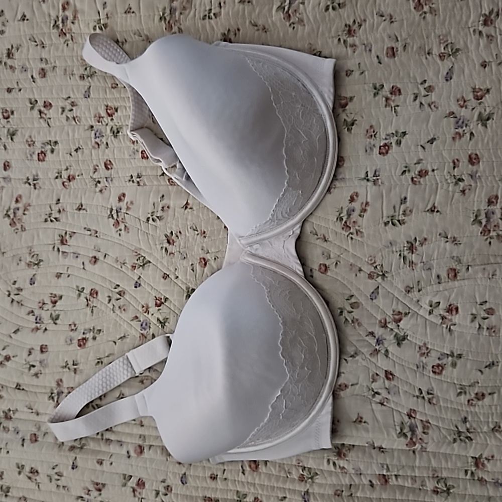 38DD bra